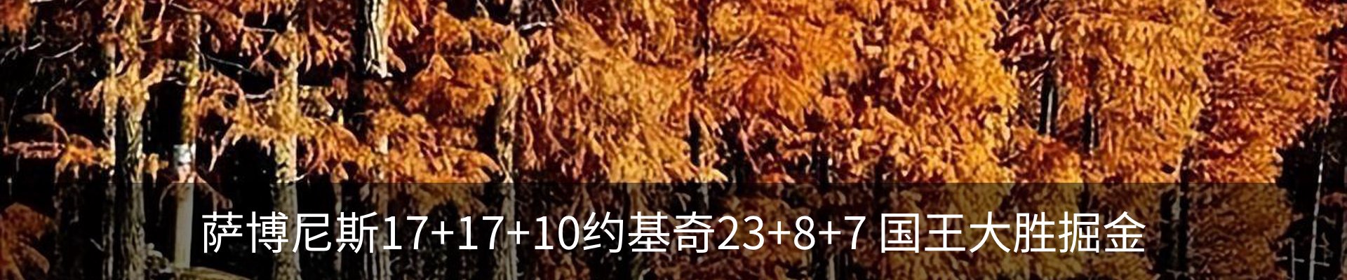 新闻动态